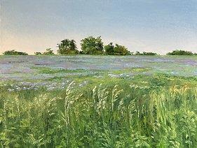Hollett-Bazouzi_VA_Ashland_CornflowersOutsideOfAshland(study)_4133 smaller