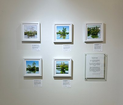 Hollett-Bazouzi_Displayat CAC_5ViewofBlackBirdIslandatCAC_1411 cropped