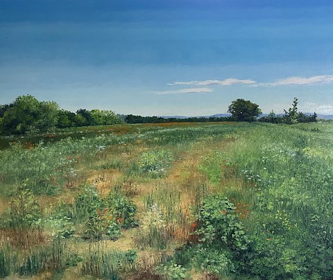 Hollett-Bazouzi_VA_PoppiesOutsideofBarboursvilleIV_Oil_20x24_4550 smaller