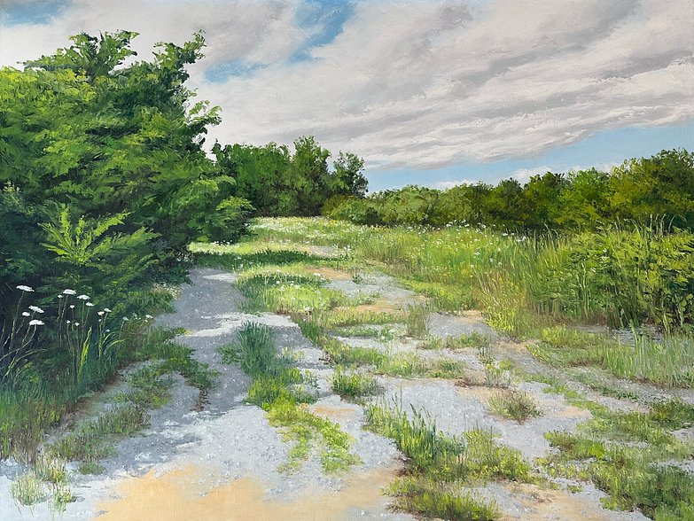 Hollett-Bazouzi_PathwithQueenAnnesLace_oil_30x40_$4500_Final with gravel