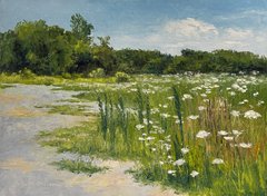 Path with Queen Anne's Lace V
