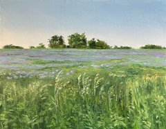 Cornflowers outside of Ashland (study)