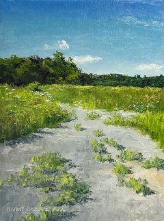 Path with Queen Anne's Lace VI