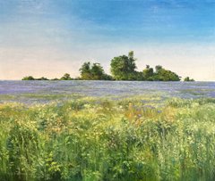 Cornflowers outside of Ashland