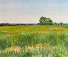 Poppies Outside of Ashland III