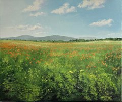 Poppy Field and Blue Ridge Mountains