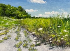 Path with Queen Anne's Lace VIII