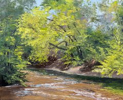 Spring on Swift Creek