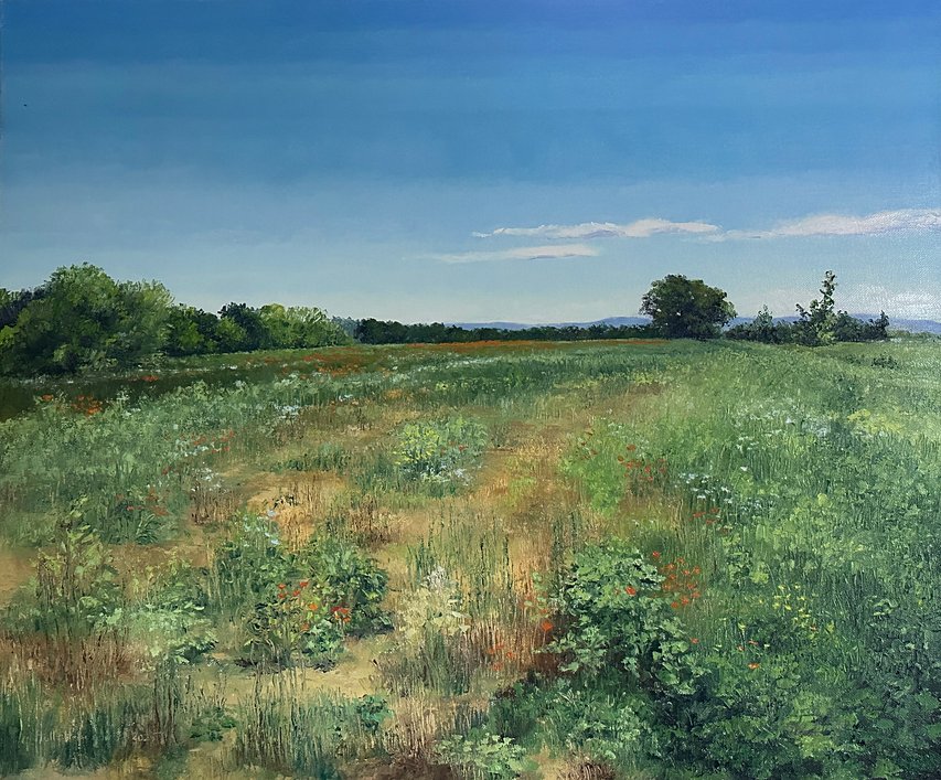 Hollett-Bazouzi_VA_PoppiesOutsideofBarboursvilleIV_Oil_20x24_4550 smaller